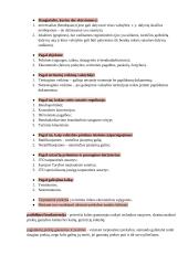 Konspektas. Tarptautinės prekyba 16 puslapis