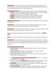 Konspektas. Tarptautinės prekyba 17 puslapis