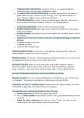 Konspektas. Tarptautinės prekyba 19 puslapis