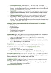 Konspektas. Tarptautinės prekyba 3 puslapis