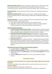 Konspektas. Tarptautinės prekyba 4 puslapis