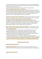 Konspektas. Tarptautinės prekyba 8 puslapis