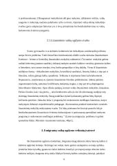 Emigracijoje gyvenančių lietuvių vaikų ugdymo problemos ir jų sprendimo būdai 6 puslapis