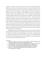 Kuo žmogui svarbi meilė? 3 puslapis