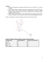 Energetinių sistemų ir technologijų namų darbai 3 puslapis