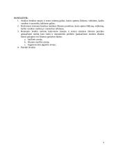 Energetinių sistemų ir technologijų namų darbai 5 puslapis