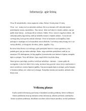 Socialinio darbo atvejo analizė 2 puslapis