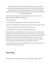 Socialinio darbo atvejo analizė 3 puslapis