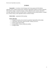 Ergonomika - darbo patalpos projektavimas 2 puslapis