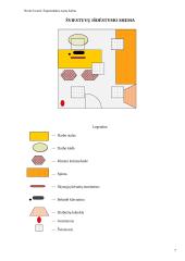 Ergonomika - darbo patalpos projektavimas 6 puslapis