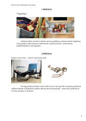 Ergonomika - darbo patalpos projektavimas 7 puslapis