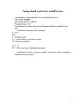 Ergonomika: sekretorės darbo vietos projektavimas 7 puslapis