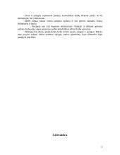 Ergonomika: sekretorės darbo vietos projektavimas 9 puslapis