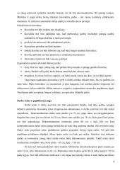 Ergonomiškas darbo vietos aprašymas 4 puslapis