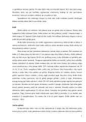 Ergonomiškas darbo vietos aprašymas 5 puslapis
