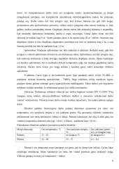 Ergonomiškas darbo vietos aprašymas 6 puslapis