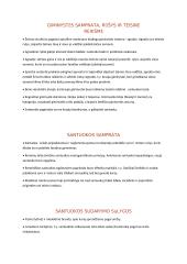 Romėnų teisės konspektas 2 puslapis