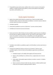 Romėnų teisės konspektas 12 puslapis