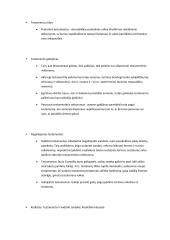 Romėnų teisės konspektas 14 puslapis