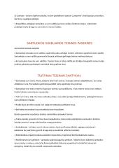 Romėnų teisės konspektas 5 puslapis