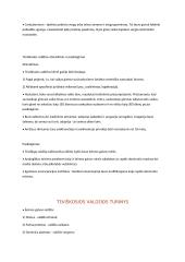 Romėnų teisės konspektas 6 puslapis