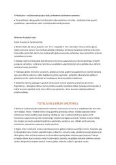 Romėnų teisės konspektas 7 puslapis