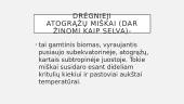 Drėgnieji atogrąžų miškai - skaidrės 2 puslapis