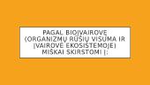 Drėgnieji atogrąžų miškai - skaidrės 14 puslapis