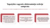 Tapatybės vagystė 3 puslapis