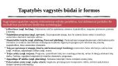 Tapatybės vagystė 4 puslapis