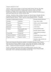 Viduramžiai (konspektas pagal VBE istorijos programą) 2 puslapis