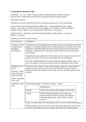 Viduramžiai (konspektas pagal VBE istorijos programą) 7 puslapis