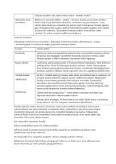 Viduramžiai (konspektas pagal VBE istorijos programą) 8 puslapis