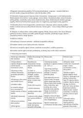 Viduramžiai (konspektas pagal VBE istorijos programą) 9 puslapis