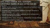 Odisėjo portretas ir „Iliada“ 20 puslapis