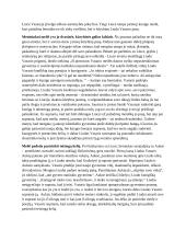    Įsimylėjelio portretas remiantis  V. Mykolaičio Putino romanu ,,Altorių šešėly‘‘ 2 puslapis