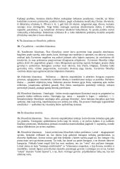 Filosofijos įvadas 4 puslapis