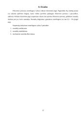 Filtravimo centrifugos vidutinio našumo apskaičiavimas 12 puslapis