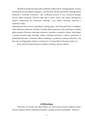 Filtravimo centrifugos vidutinio našumo apskaičiavimas 4 puslapis