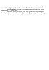 Finansiniai apskaitos šaltiniai ir paskaičiavimai: AB "Snaigė" 5 puslapis