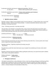 Finansiniai apskaitos šaltiniai ir paskaičiavimai: AB "Snaigė" 7 puslapis