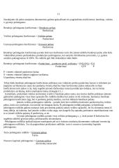 Finansiniai apskaitos šaltiniai ir paskaičiavimai: AB "Snaigė" 8 puslapis