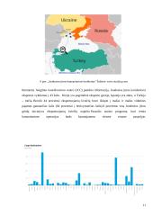 Juodosios jūros grūdų iniciatyvos poveikis pasaulio šalims ir grūdų kainoms 10 puslapis