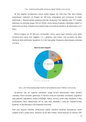 Juodosios jūros grūdų iniciatyvos poveikis pasaulio šalims ir grūdų kainoms 11 puslapis