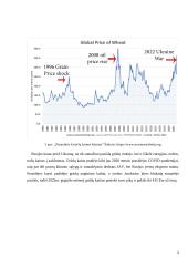 Juodosios jūros grūdų iniciatyvos poveikis pasaulio šalims ir grūdų kainoms 8 puslapis