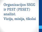 Organizacijos SSGG ir PEST (PESET) analizė. Vizija, misija, tikslai