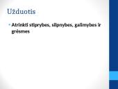 Organizacijos SSGG ir PEST (PESET) analizė. Vizija, misija, tikslai 13 puslapis