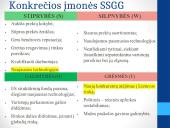 Organizacijos SSGG ir PEST (PESET) analizė. Vizija, misija, tikslai 18 puslapis