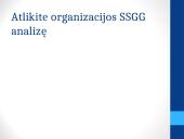 Organizacijos SSGG ir PEST (PESET) analizė. Vizija, misija, tikslai 19 puslapis