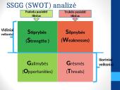 Organizacijos SSGG ir PEST (PESET) analizė. Vizija, misija, tikslai 6 puslapis